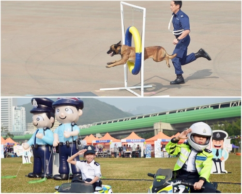 入場的市民最難忘警犬表演。
