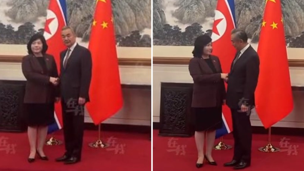 北韓外相崔善姬今天會見外交部長王毅。