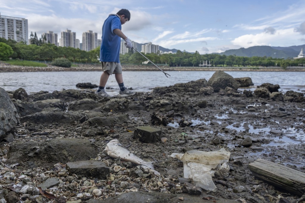 研究團隊選定生態價值高的河岸作調查地點，以記錄來自城市的塑膠垃圾落入河岸的污染實況。（綠色和平提供） 