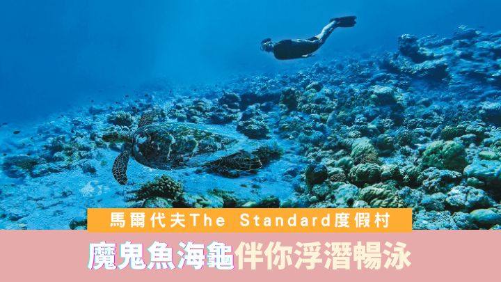 馬爾代夫The Standard, Huruvalhi Maldives度假村，現正推出Go Deep Blue活動，領客人探索海洋生態。
