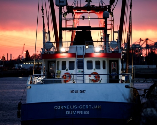 歐盟要求英國於12月10日前解決與法國捕魚權爭議。路透社圖片