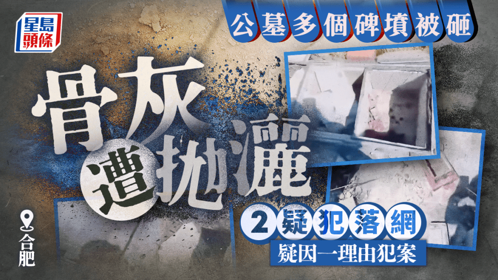 合肥墓地遭毀骨灰被拋灑 2疑犯落網疑似原因曝光