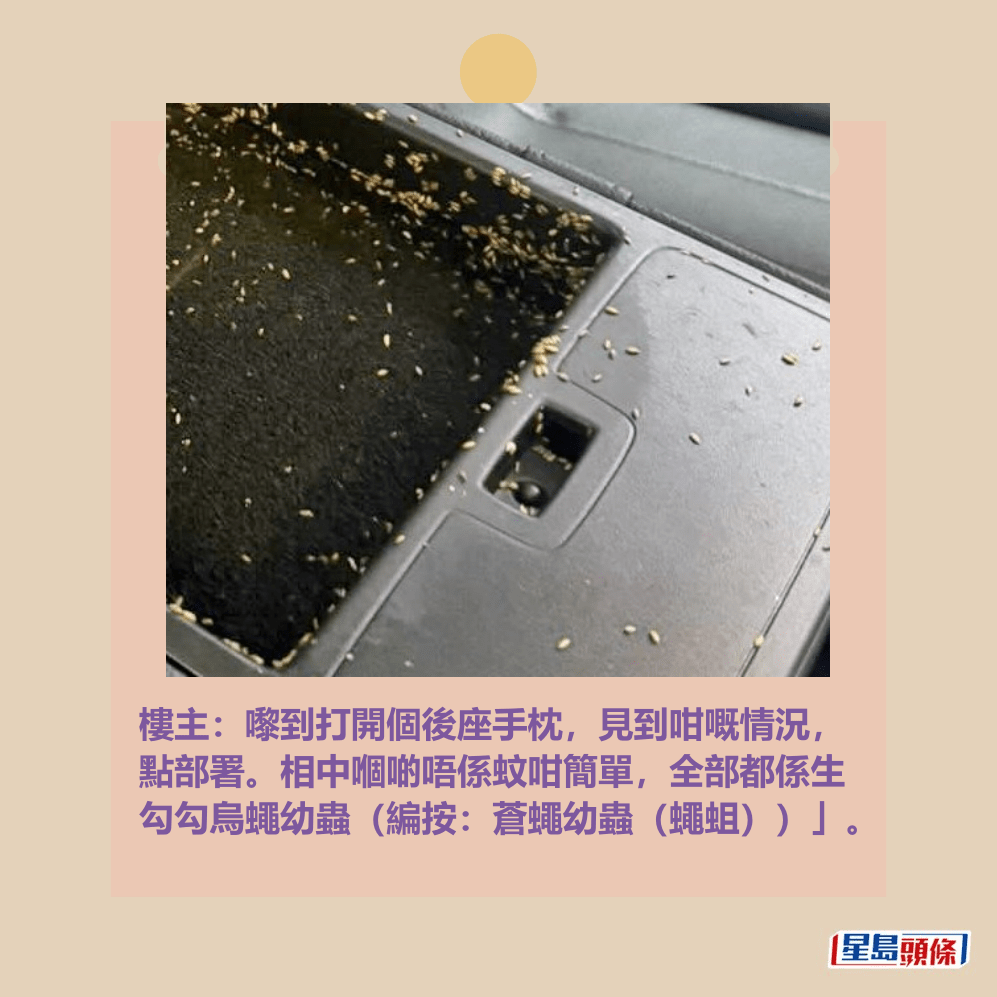 樓主:嚟到打開個後座手枕,見到咁嘅情況, 點部署。相中嗰啲唔係蚊咁簡單,全部都係生 勾勾烏蠅幼蟲(編按:蒼蠅幼蟲(蠅蛆))」。Threads截圖 樓主:嚟到打開個後座手枕,見到咁嘅情況, 點部署。相中嗰啲唔係蚊咁簡單,全部都係生 勾勾烏蠅幼蟲(編按:蒼蠅幼蟲(蠅蛆))」。Threads截圖
