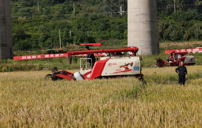 「超级稻」实现平均亩产1,251.5公斤，创造了世界新纪录。人民网