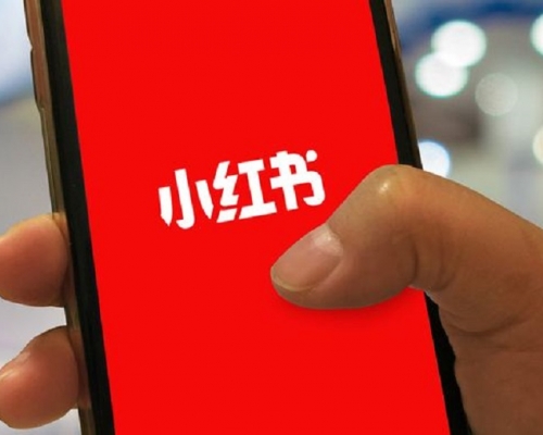 内地电商网站小红书遭被下架。网上图片