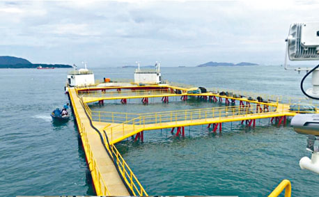 渔护署希望引入现代化的高科技外海养殖技术，增加养鱼产量。