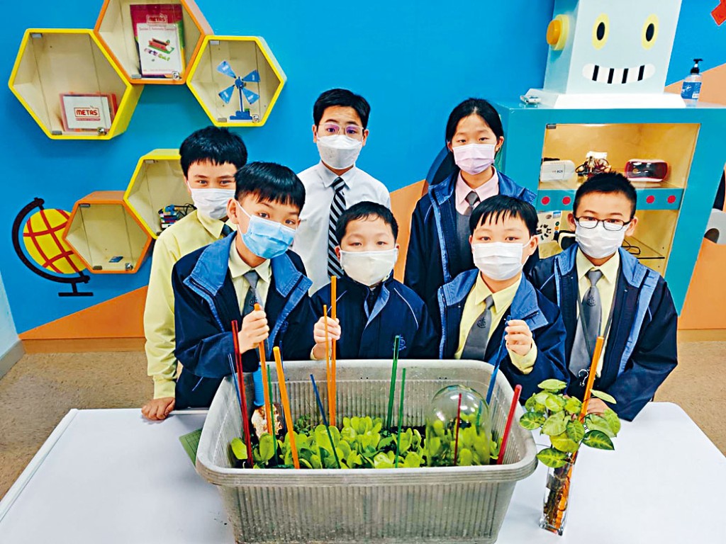 本港首次有小學生在日內瓦國際發明展獲得金獎，研發技術使農作物生長速度加快兩成。