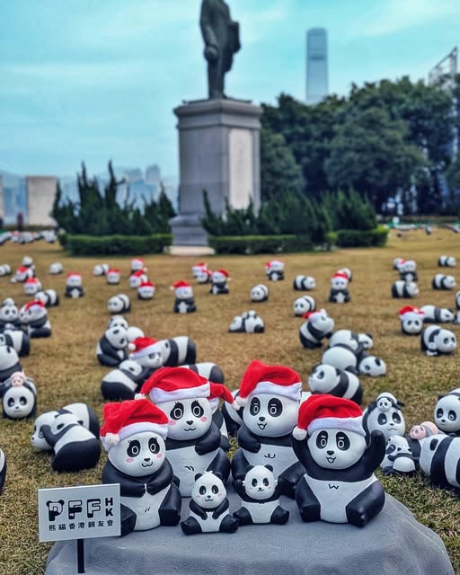 全港最大型熊貓主題展覽《PANDA GO！香港遊》公眾展覽最後一站去到中山公園，想打卡就要把握最後機會！（圖片來源： AllRightsReserved）