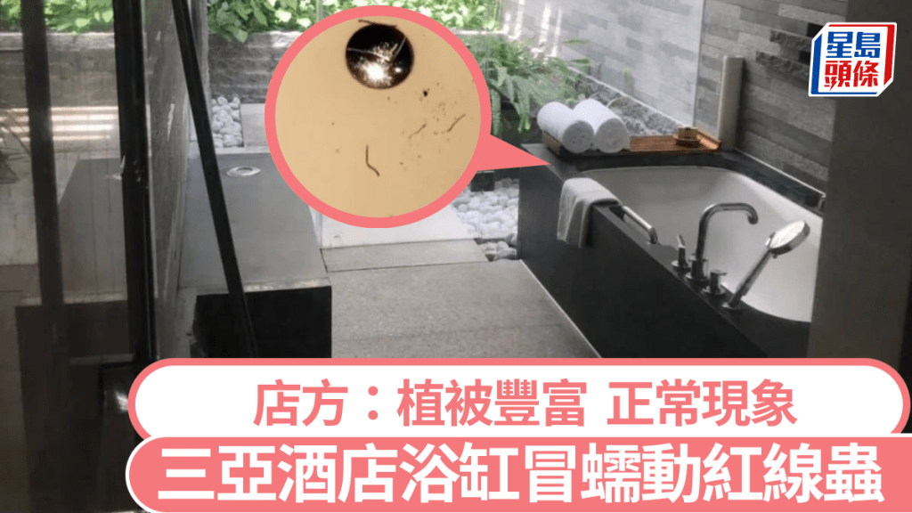 有旅客投訴在三亞入住酒店時,浴缸冒出蠕動的紅線蟲。示意圖