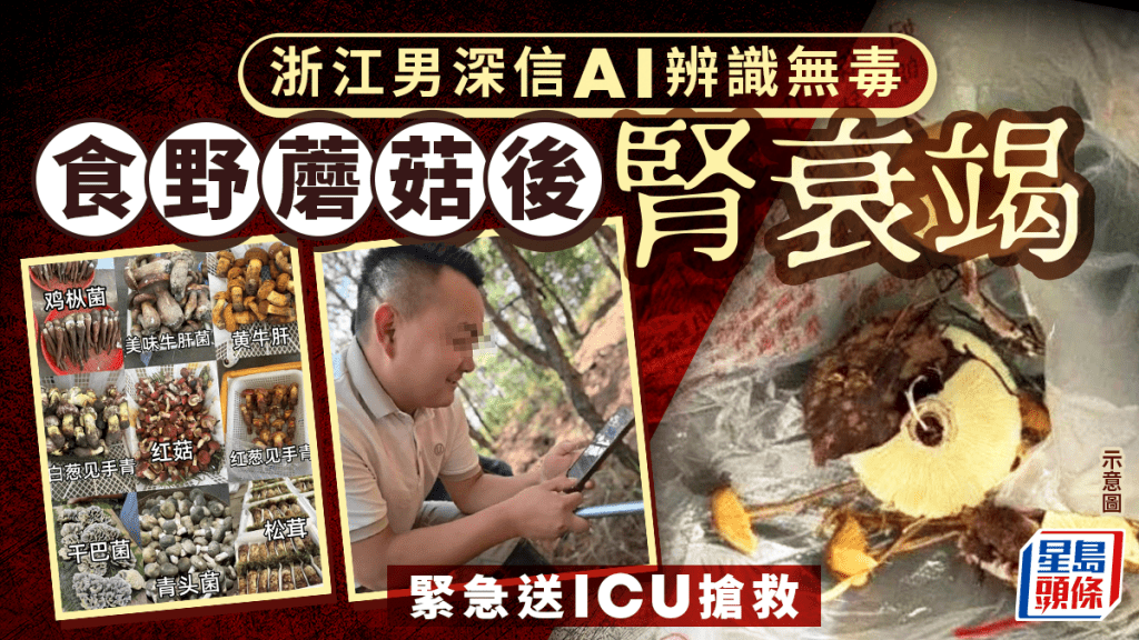 AI出錯︱浙江男信人工智能無毒辨識  食野蘑菇爆腎衰竭入ICU