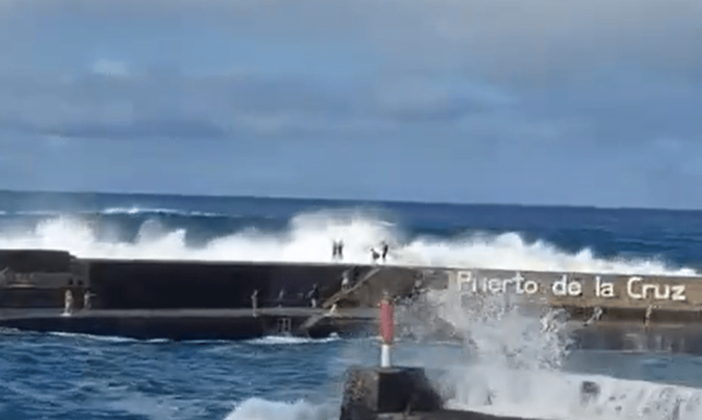 網民分享的畫面可見有人不顧警告執意靠近海浪造成意外。X@Adricor_fer