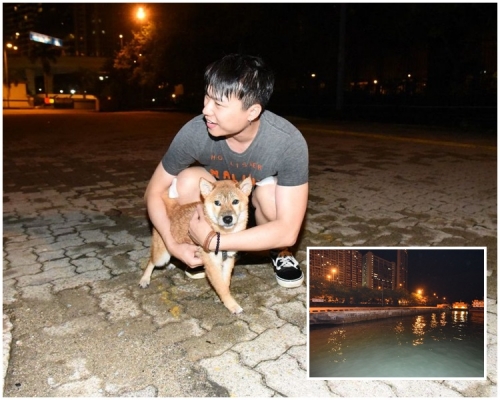主人見愛犬獲救無恙,抱著「阿柴」喜極而泣。丁志雄攝