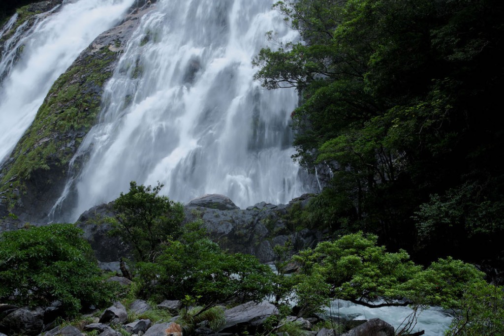 屋久島上擁有以樹齡逾千年天然杉木作為代表的獨特森林景觀與生態系統。