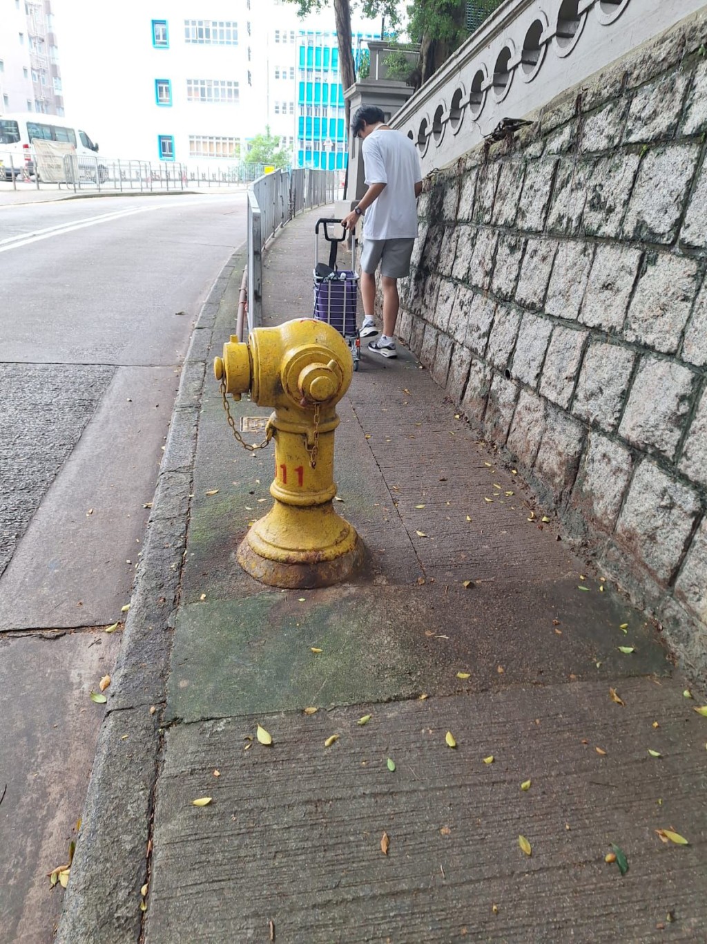 行人路滋生青苔，若天雨湿滑，行人容易滑倒。（受访者提供）