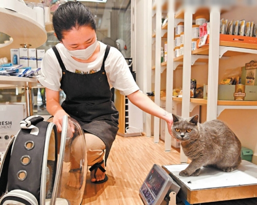 《二○一九年寵物行業白皮書》顯示,中國城鎮寵物犬貓消費市場規模達到二千億元。中新社資料圖片