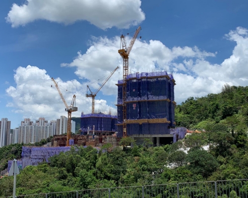 上月预售楼花录零申请，同期有3个项目批售楼纸，包括沙田多石街1期。