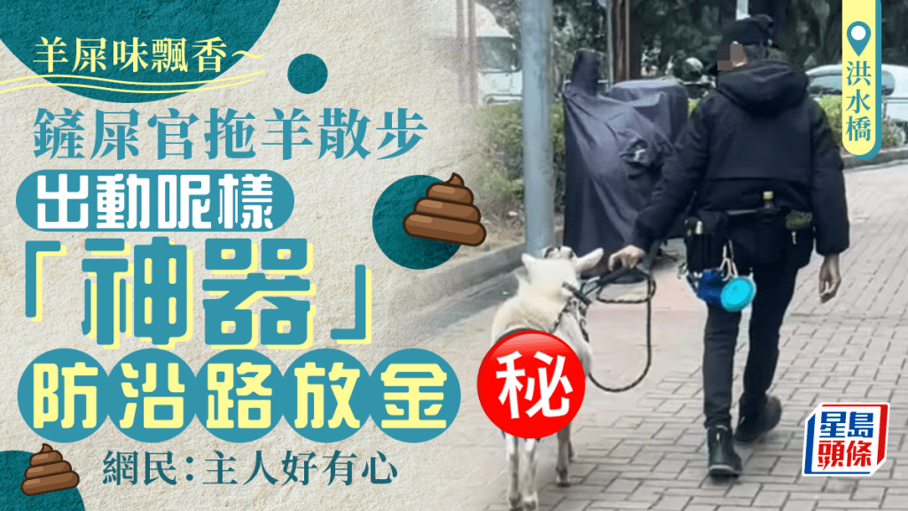 洪水橋羊咩屎味飄香～ 鏟屎官拖羊散步 出動呢樣「神器」防沿路放金