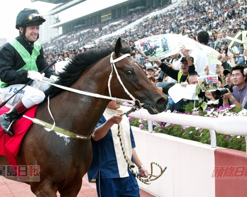 精英大師在05年4月3日以不敗之身平了九十年代美國馬王「雪茄」所創下的16連勝紀錄。資料圖片