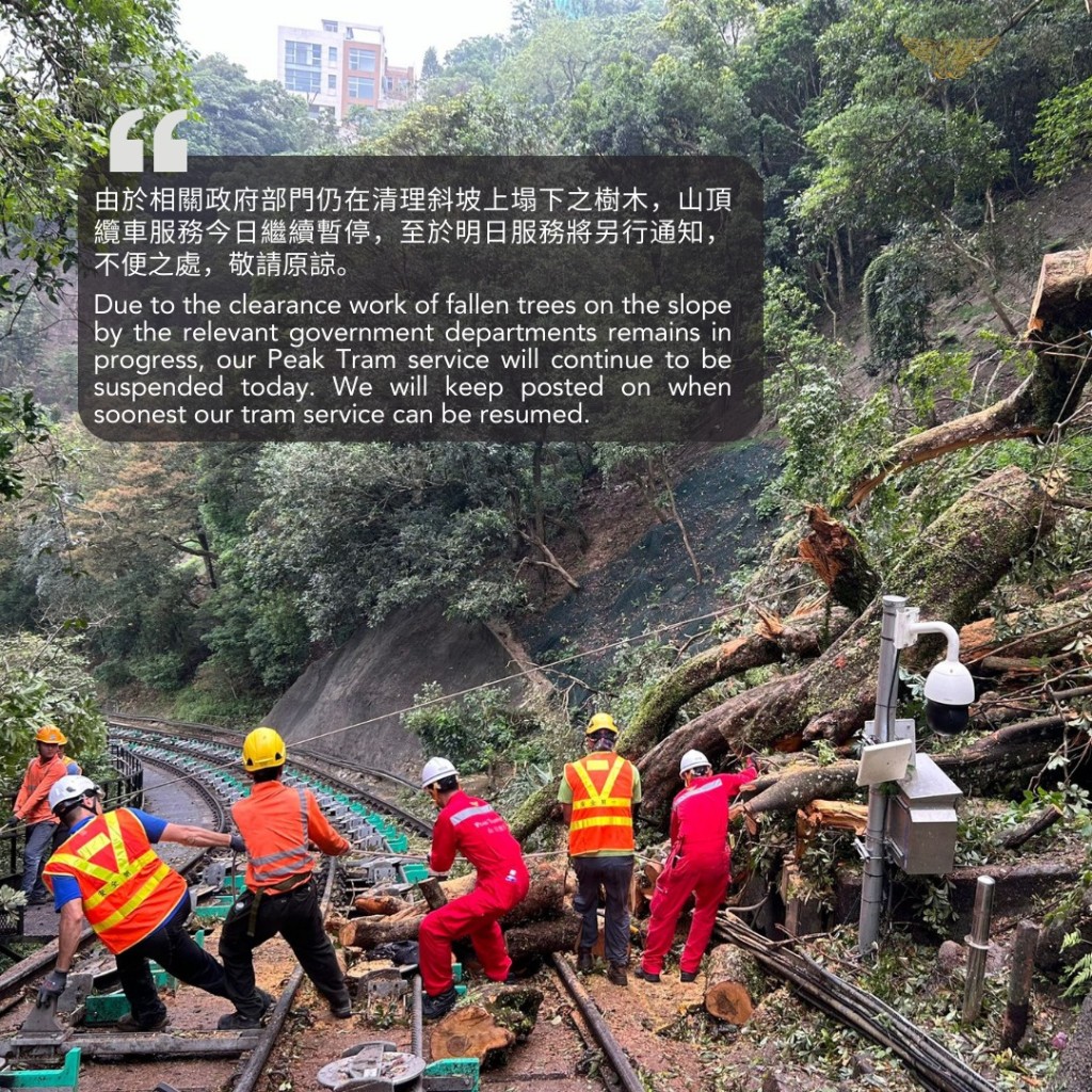 至下午3时，山顶缆车表示由于相关政府部门仍在清理斜坡上塌下之树木，山顶缆车服务今日继续暂停。