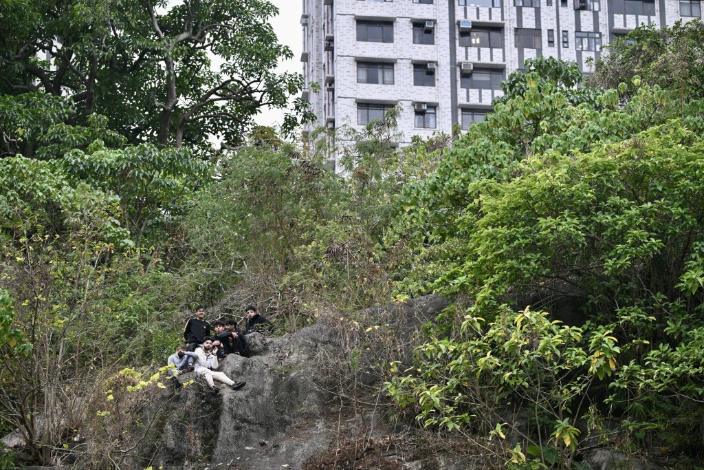 6名南亞裔青年為一睹美斯球技，竟冒險爬上大球場旁邊的山坡坐「山頂位」。蘇正謙攝
