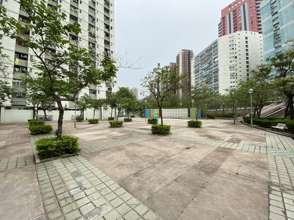 大興邨（維基百科圖片）