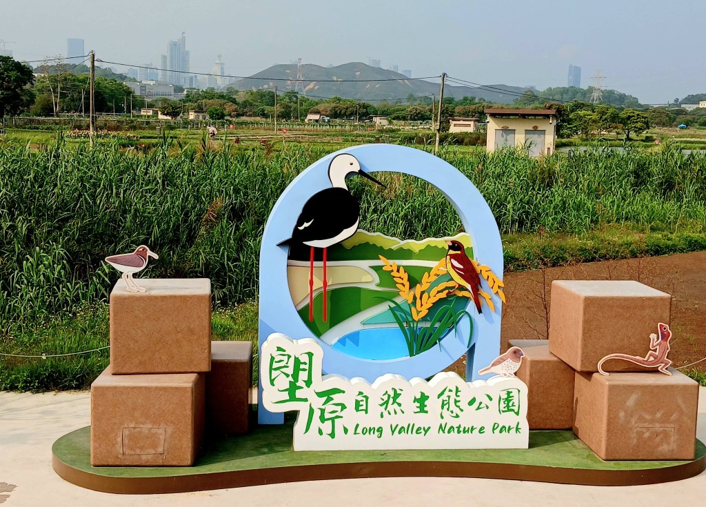 逢星期六或日，塱原自然生態公園為公眾舉辦長約1.5小時 的塱原深度遊，為參加者介紹塱原的歷史、公園的濕地保育工作及特色生境。（圖片來源：、漁農自然護理署 ）