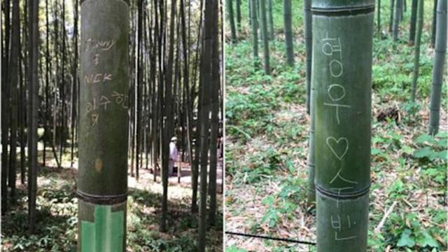 嵐山著名景點「竹林小徑」也有塗鴉。えびす屋嵐山FB