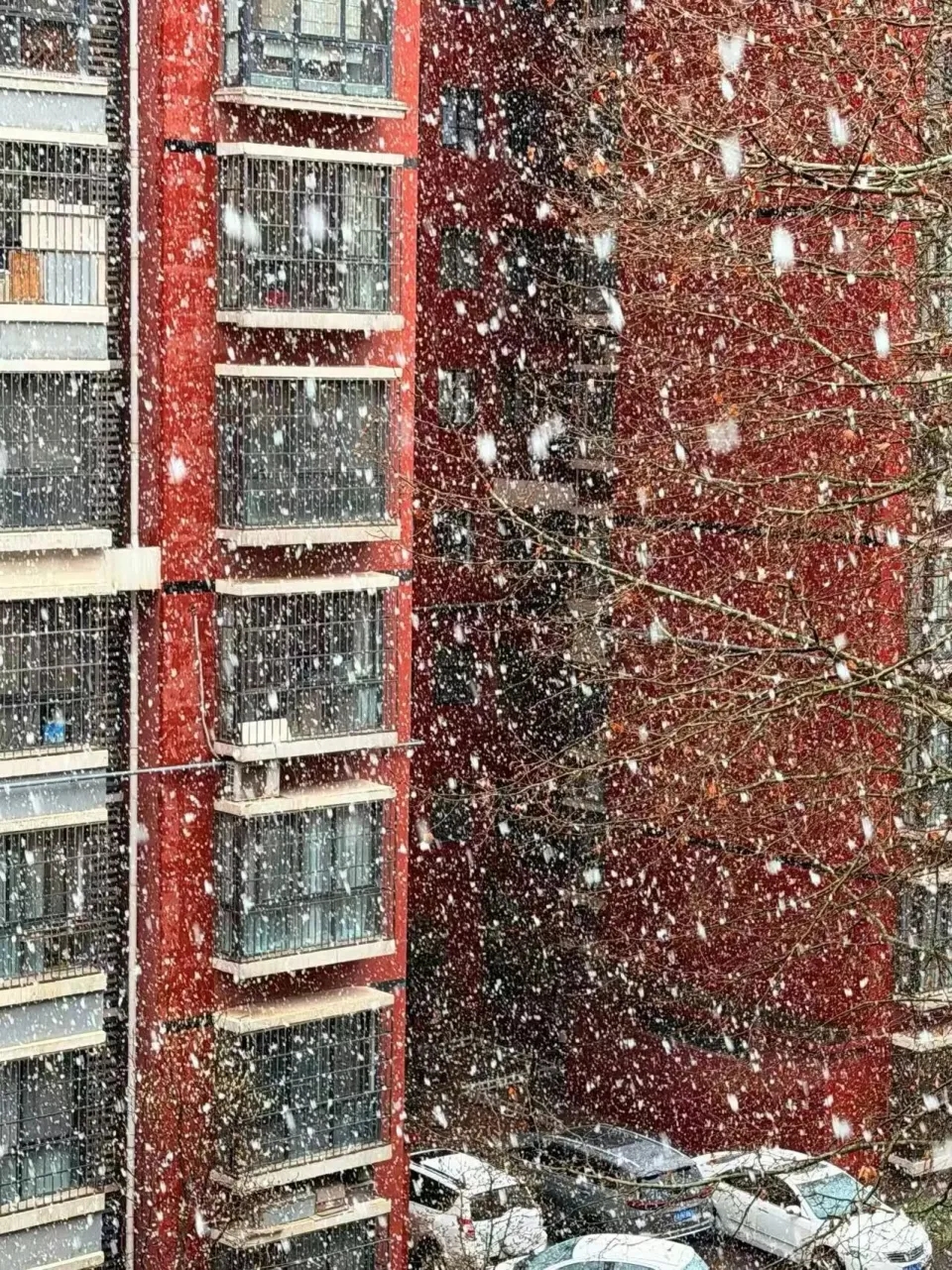 西安突降大雪,24小時內溫差20度,一天穿越冬夏兩季。 微博 西安突降大雪,24小時內溫差20度,一天穿越冬夏兩季。 微博