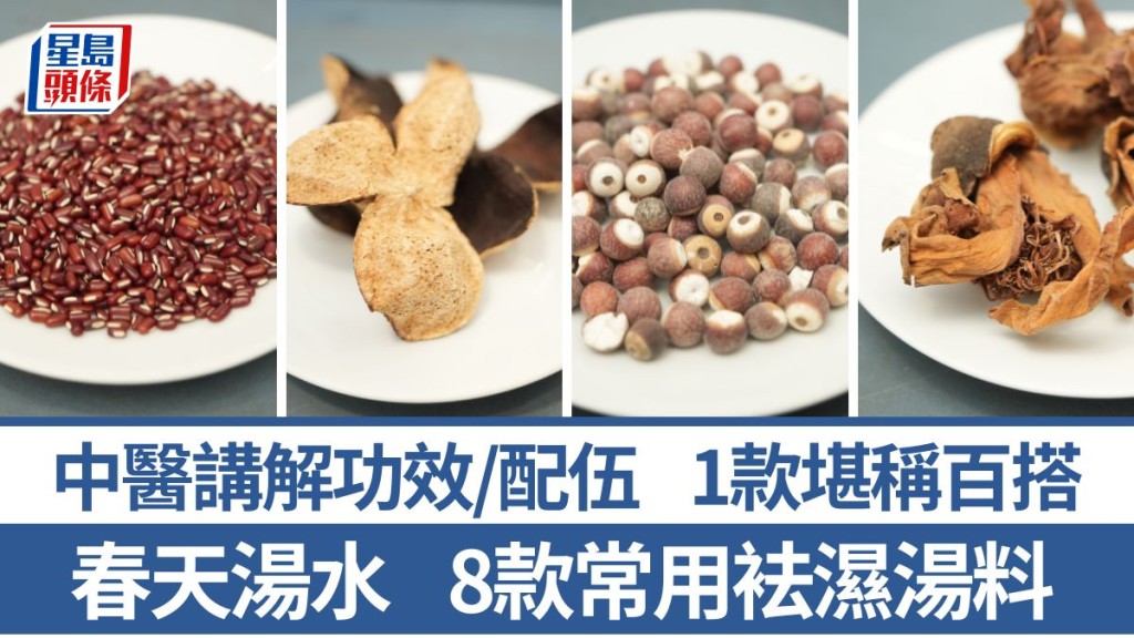 袪濕湯料點樣揀？中醫講解8款常用袪濕湯料功效/配伍 1款堪稱百搭｜食材知識