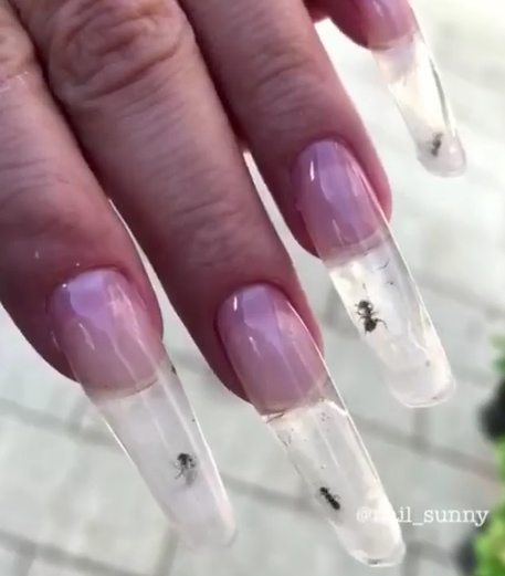 他們宣稱沒有螞蟻死去。Nail_sunny IG圖片