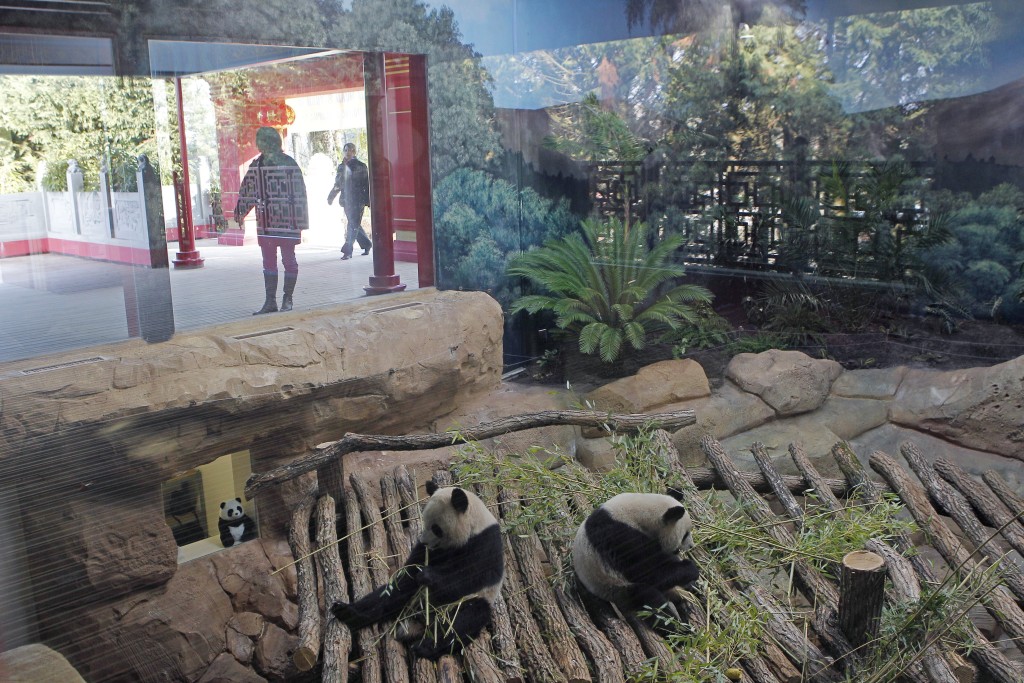 「歡歡」（左）和「圓仔」在博瓦勒動物園的家。 美聯社