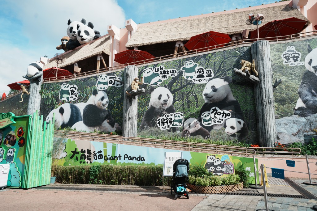 海洋公園為慶祝園內6隻大熊貓生日，舉辦「玩轉夏日大熊貓生日大派對」。