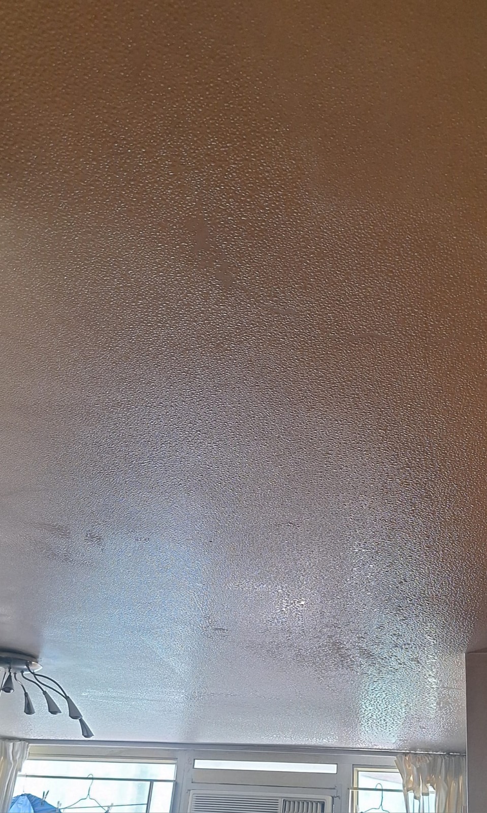 网民分享家中天花板上布满水珠。FB图片