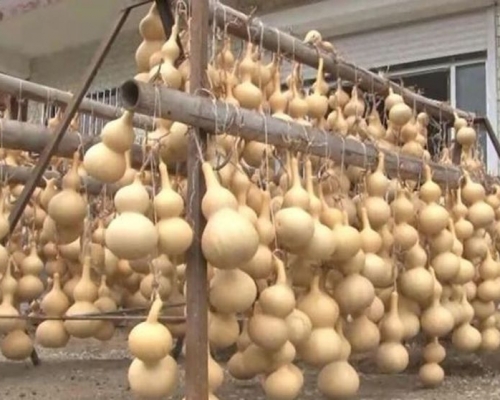 目前路庄村有葫芦加工作坊200多个，占据全国葫芦产销量的80%。网上图片