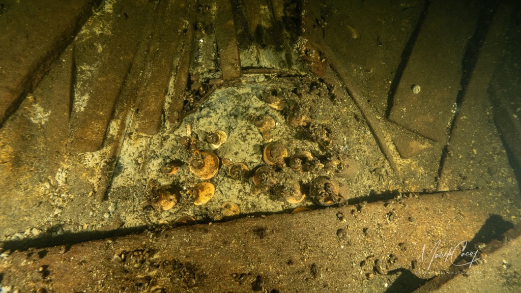 潜水专家在波罗的海一艘19世纪沉船上发现大批未开封香槟和矿泉水。 路透社