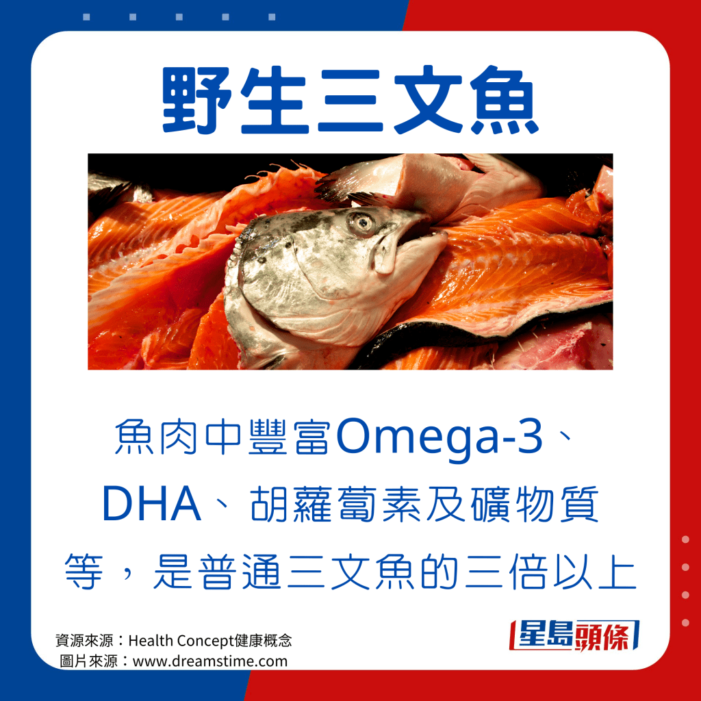 野生三文魚的魚肉含有豐富的Omega-3、DHA、胡蘿蔔素及礦物質等