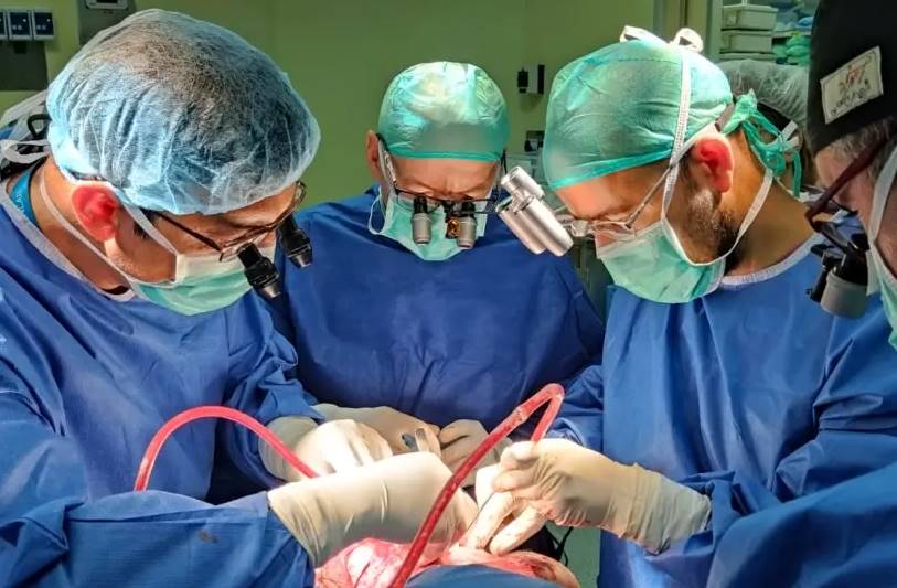 上周的分離手術有數十位國內外專家學者參與。互聯網圖片
