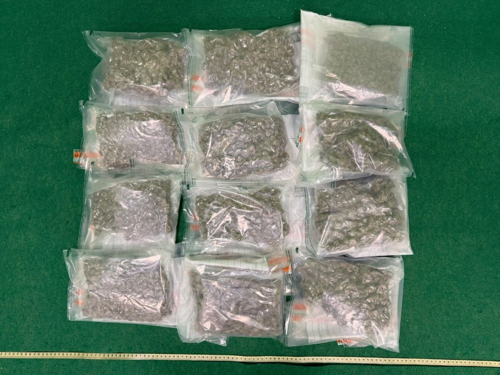 在該名31歲男旅客的隨身行李內檢獲的懷疑大麻花。政府新聞處圖片