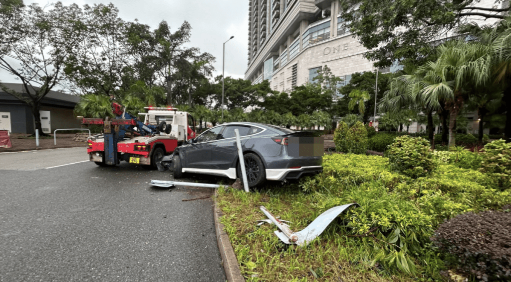 蔡楚輝攝 蔡楚輝攝