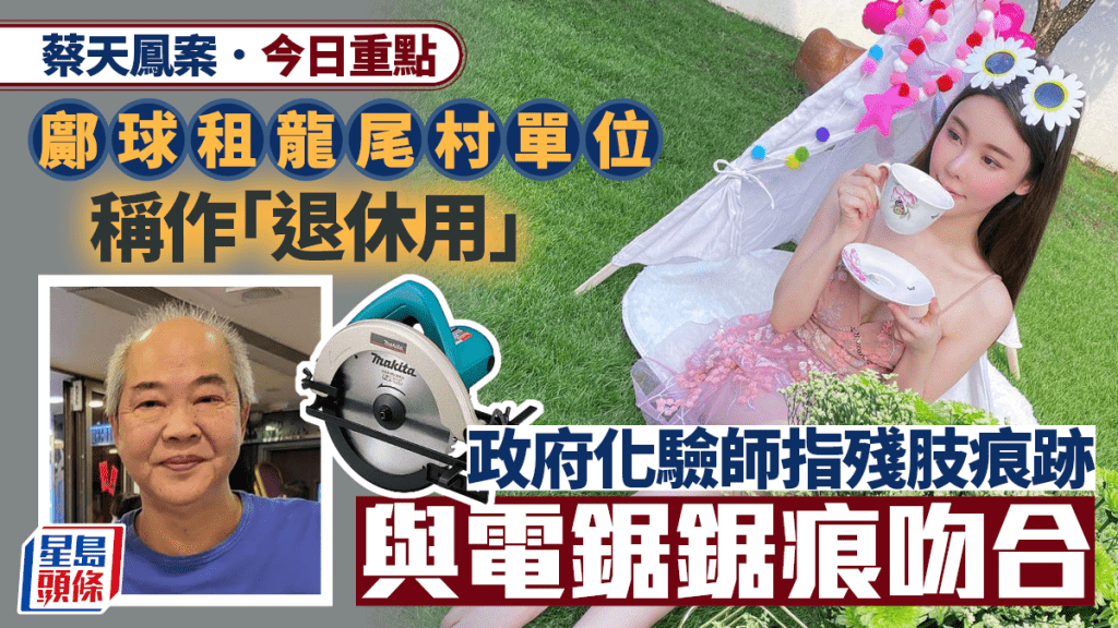 蔡天鳳案・今日重點｜鄺球租龍尾村單位「退休用」 化驗師指電鋸鋸痕與殘肢吻合