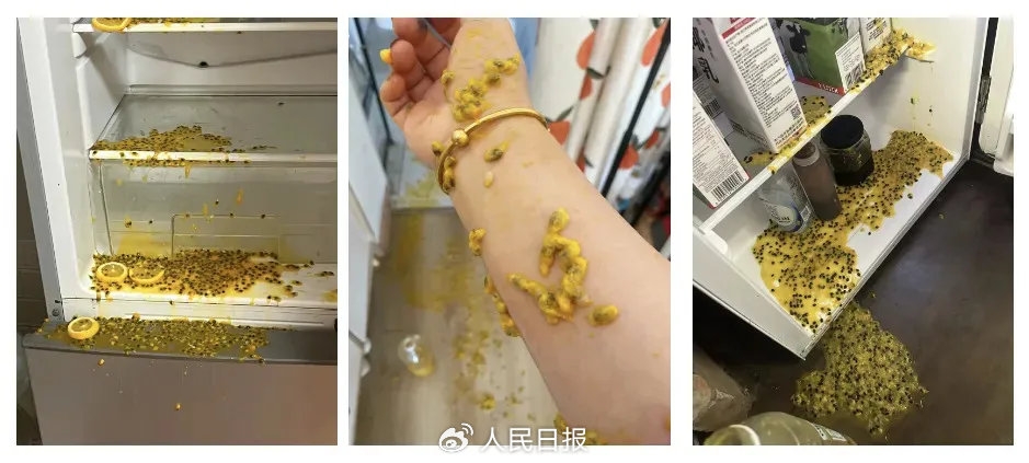 雪柜爆炸时有发生。 人民日报