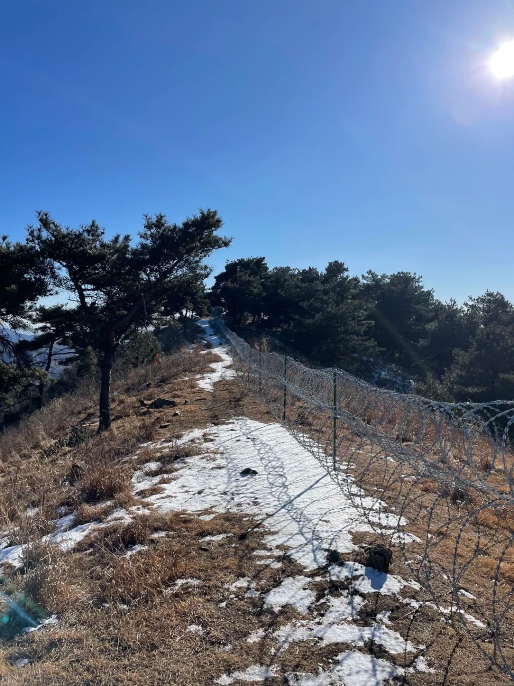 泰山被刀片鐵絲網圍封劣評如潮,被指破壞生態。小紅書 泰山被刀片鐵絲網圍封劣評如潮,被指破壞生態。小紅書