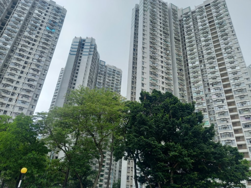 圖為黃大仙下邨。 圖為黃大仙下邨。