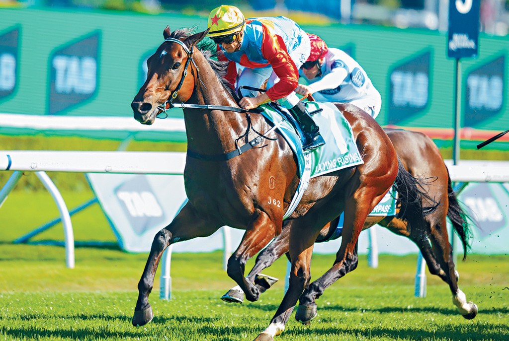 香港馬王「嘉應高昇」揚威澳洲,首匹海外佳駟奪珠峰錦標。