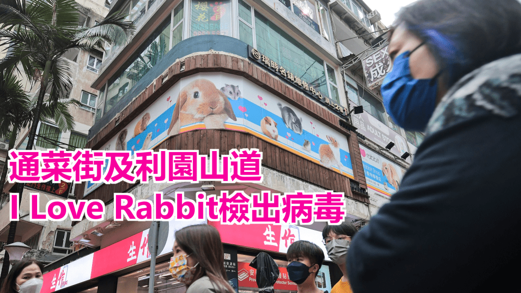 通菜街及利園山道I Love Rabbit檢出病毒。資料圖片