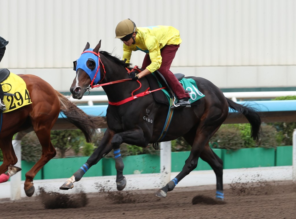 「金鑽貴人」在梁家俊胯下試閘。 「金鑽貴人」在梁家俊胯下試閘。