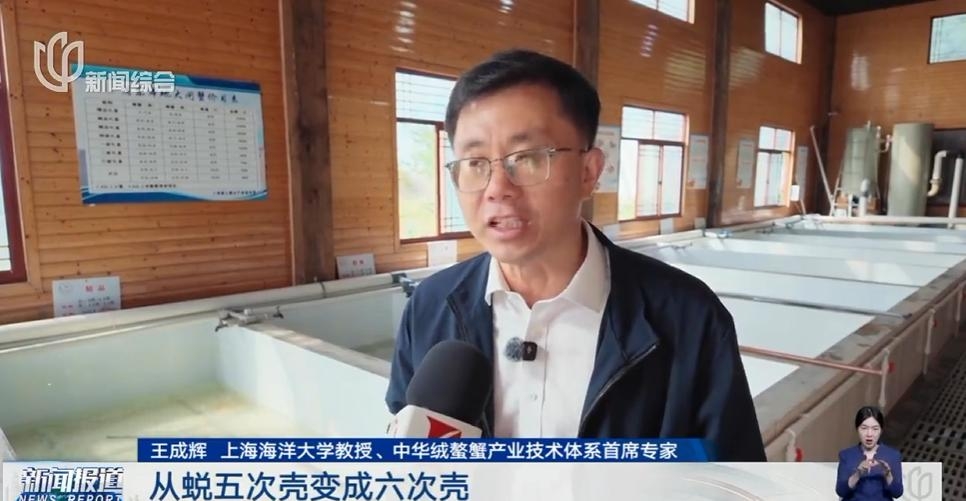 專家分析產量增加原因。 專家分析產量增加原因。