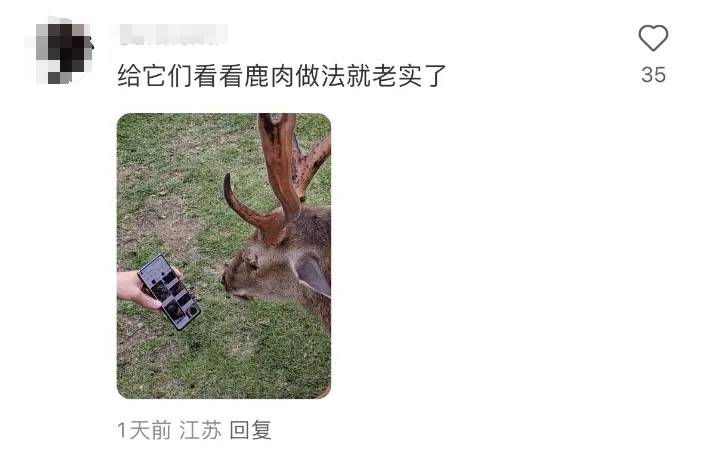 网友搞笑献计如何防止被抢手袋。 红星新闻