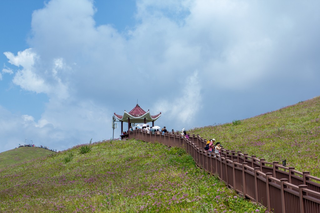 谈到云南之旅,最刺激的是上松赞林寺。示意图 谈到云南之旅,最刺激的是上松赞林寺。示意图