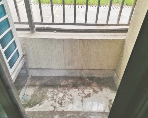 業主投訴陽台比路面低一截。網上圖片